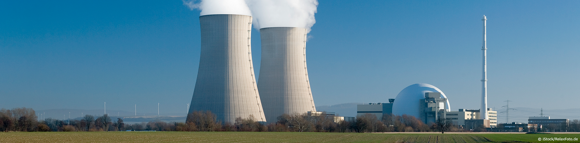 Picture of NPP 